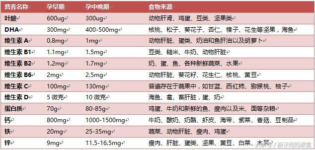 孕期營養(yǎng)